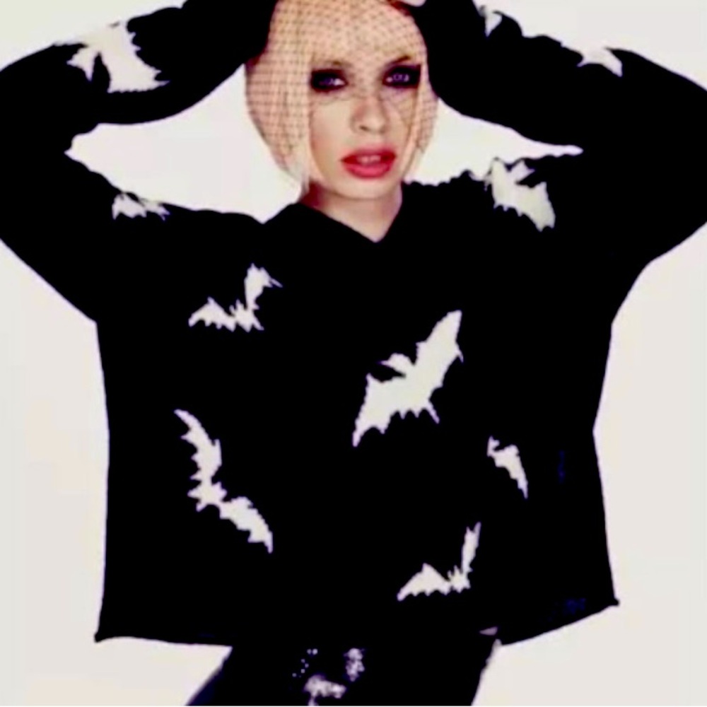 VINTAGE Wildfox Graphic Bats Billy Hooded Sweater